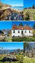 1000213254.webp