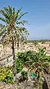 20260719_112038.webp