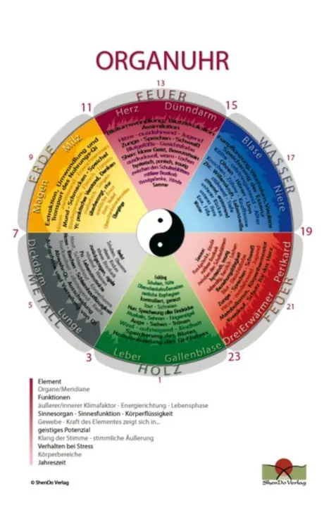 [PM-158] Organuhr Schaubild Schaubild DIN A3